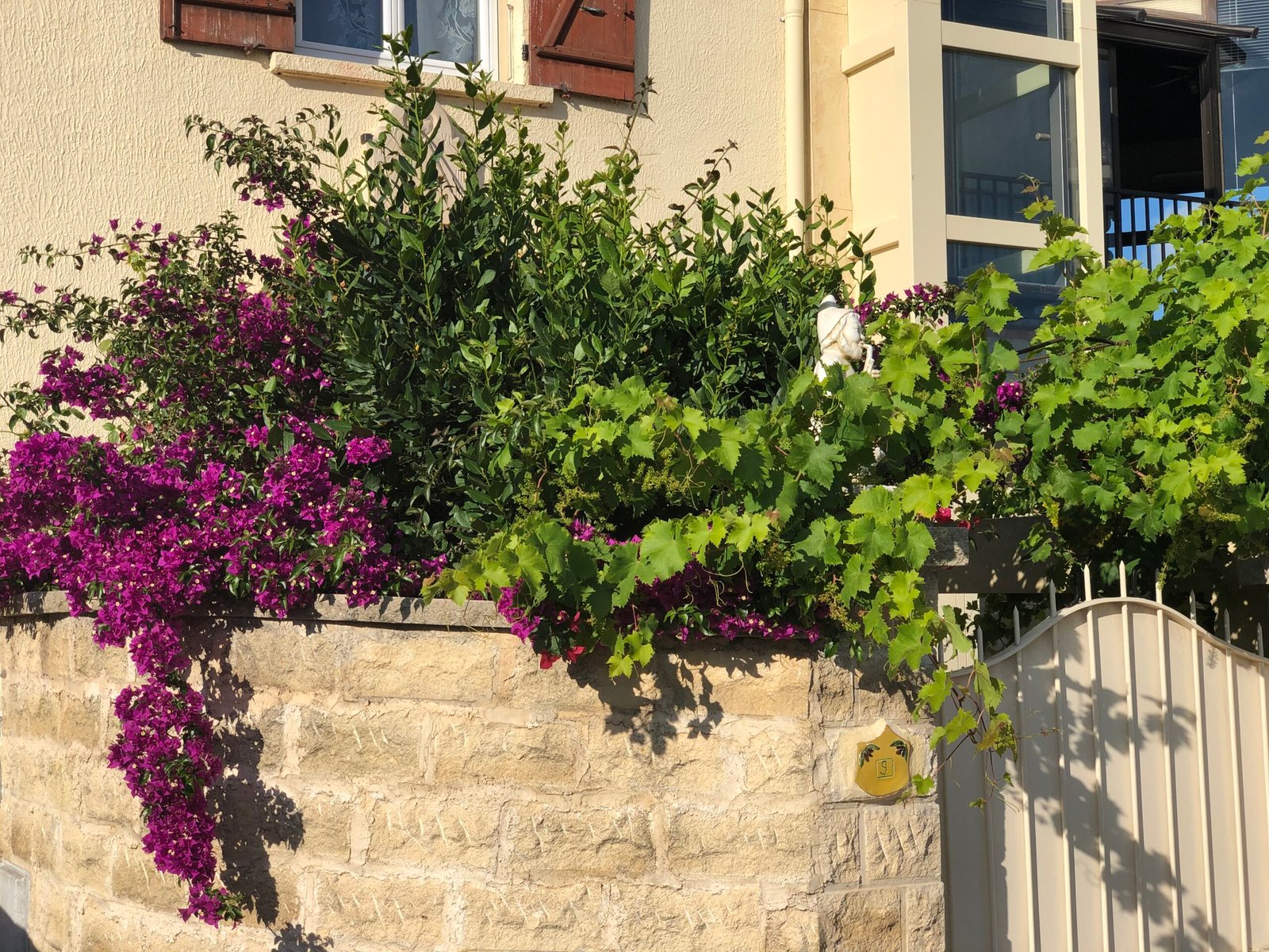 Jardin fleuri